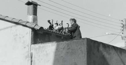Eine alte Frau steht auf dem Dach ihres kleinen Hauses und füttert etliche Katzen.