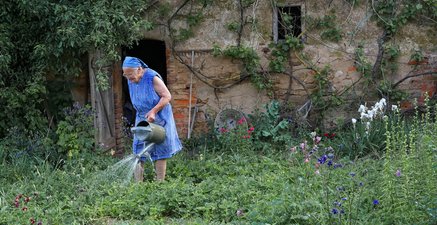 Ältere Frau mit Kopftuch gießt Pflanzen in einem Garten