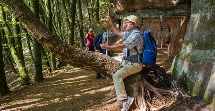 Älterer Mann mit Strohhut, Spazierstock und Rucksack sitzt auf einem entwurzelndem Baum und singt.