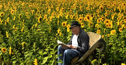 Älterer Mann mit Mütze sitzt in einer Schubkarre mitten in einem Sonnenblumenfeld und liest ein Buch.
