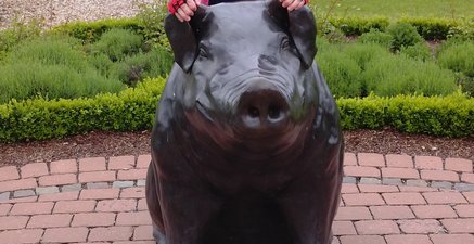 Lachende ältere Frau sitzt auf Bronzeskulptur Schwein auf Gut Kump